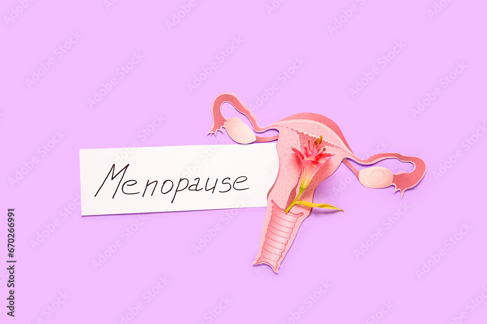 Word MENOPAUSE with paper uterus and flower on pink background