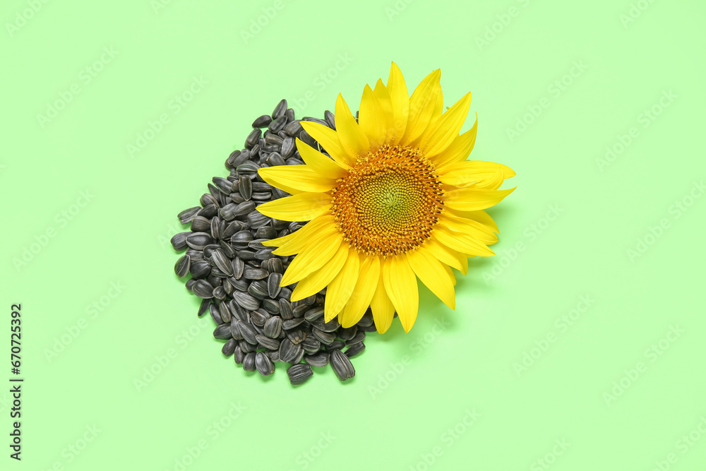 Beautiful sunflower and seeds on green background