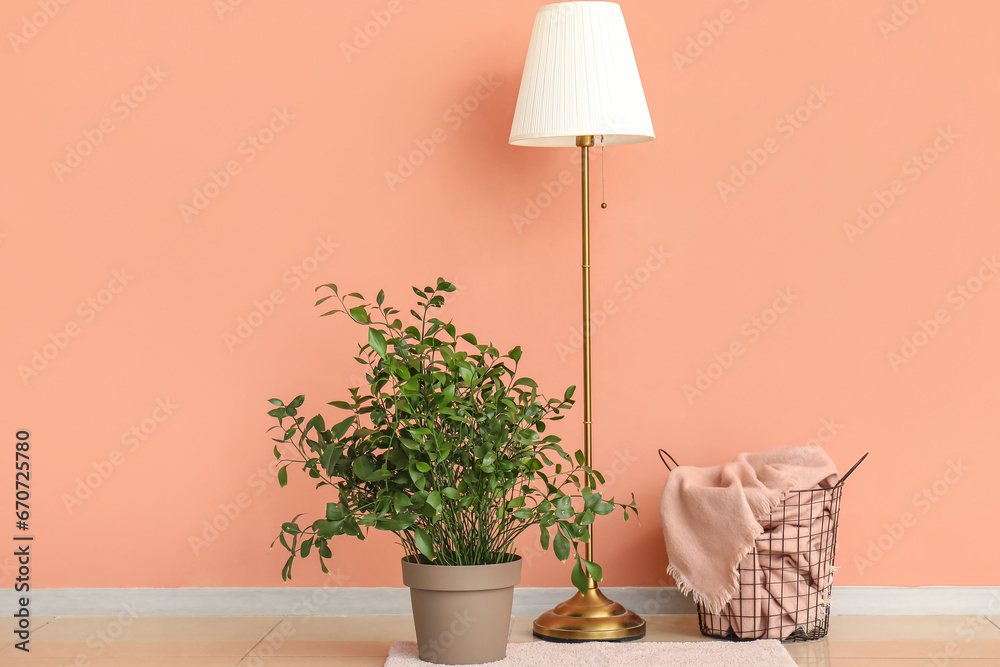 Standard lamp and houseplant near pink wall