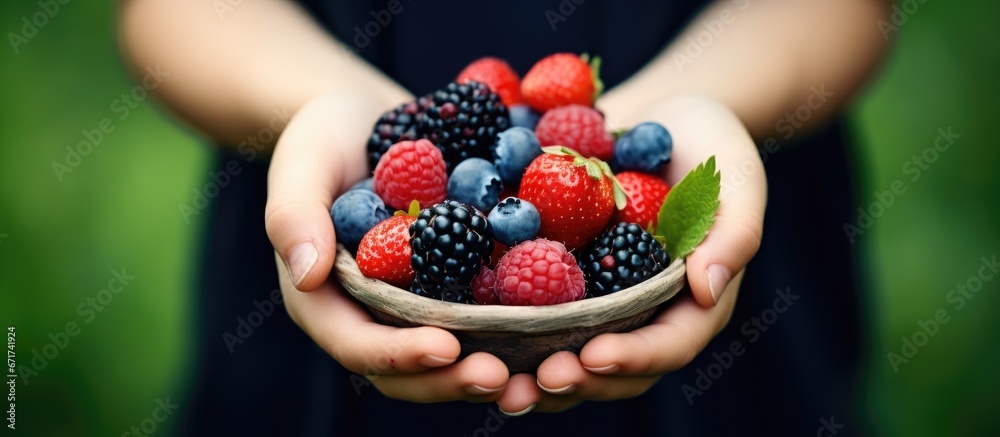 Child hands up close collecting freshly picked berries