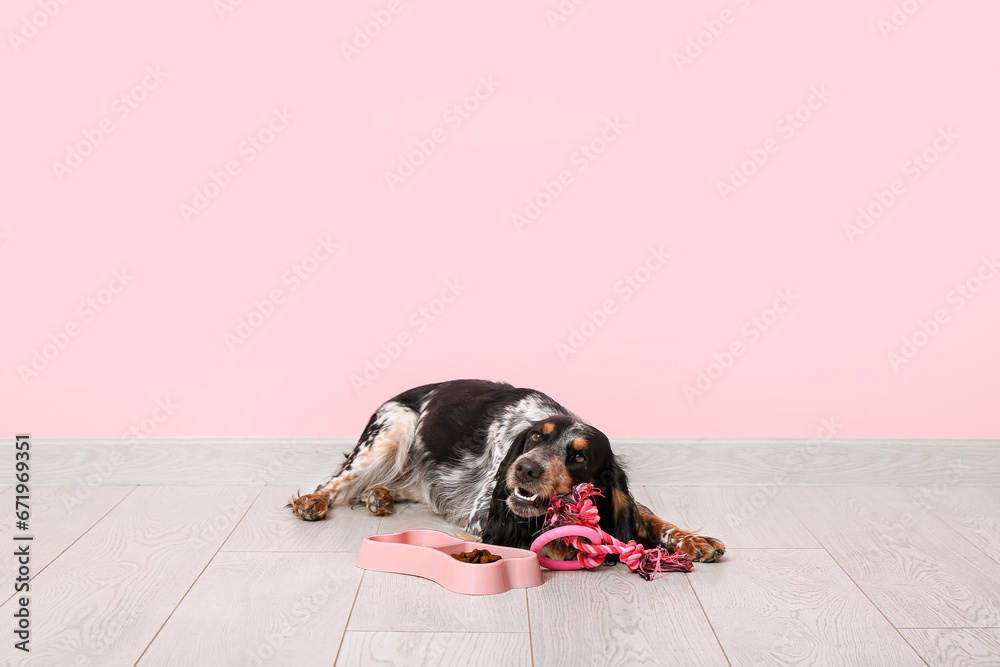 Cute cocker spaniel with toy and feeding bowl near pink wall