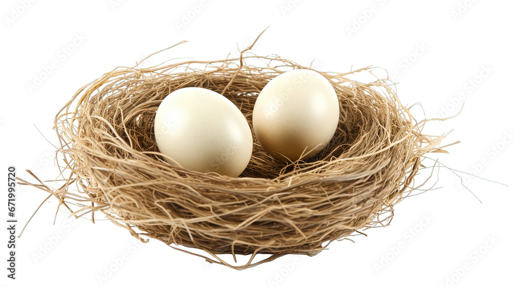 nest with eggs