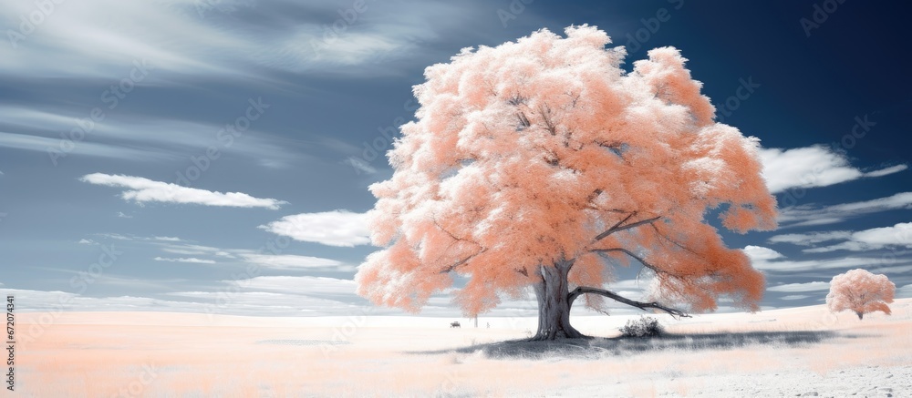 Infrared captures the essence of nature during the autumn season