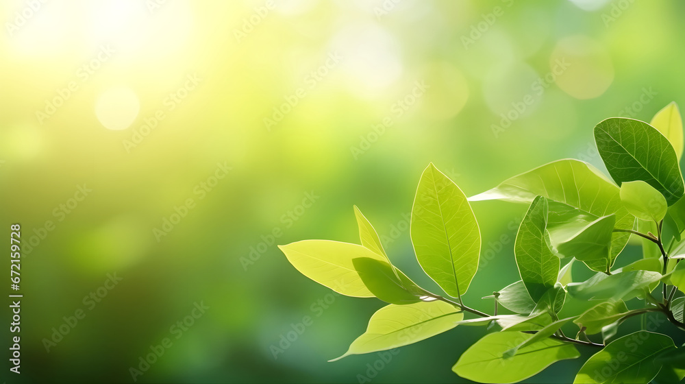 green leaves in sunlight,  green leaf on blurred  background under sunlight with bokeh and copy space