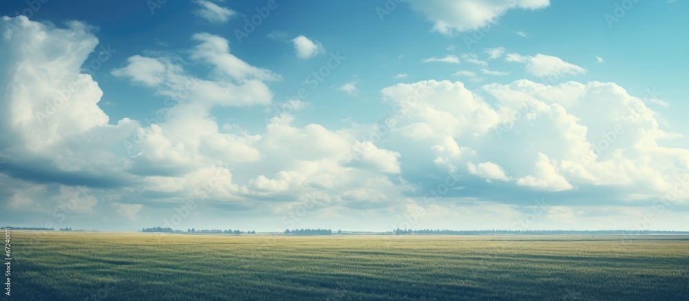 A field with overcast skies