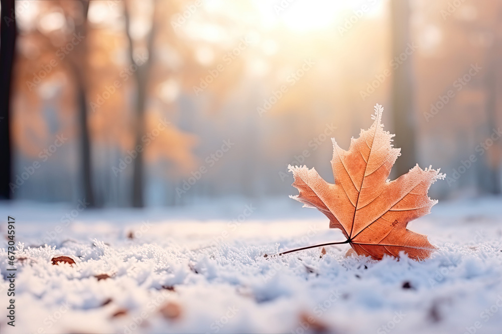 Beautiful winter background with a leaf covered with hoarfrost in nature in the snow,,Winter Christmas background