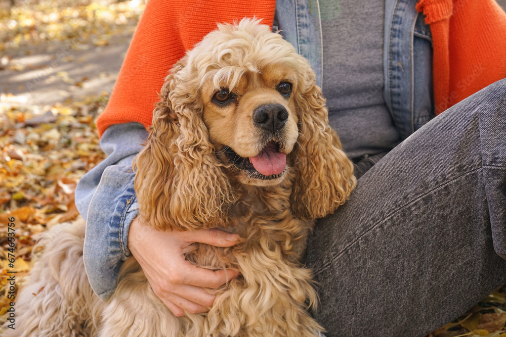 Adorable cocker spaniel dog with owner in autumn park