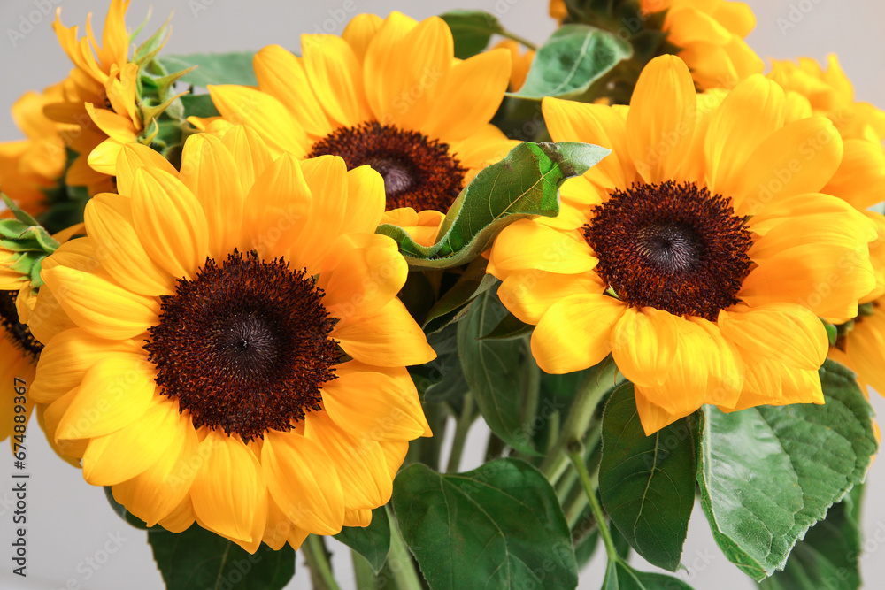 Bouquet of beautiful sunflowers, closeup