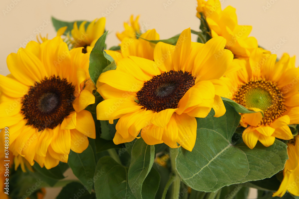 Bouquet of beautiful sunflowers, closeup