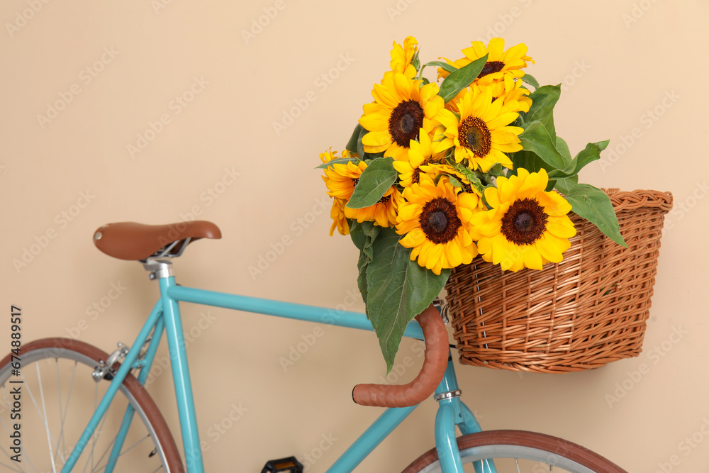 Bicycle with bouquet of beautiful sunflowers in wicker basket near beige wall