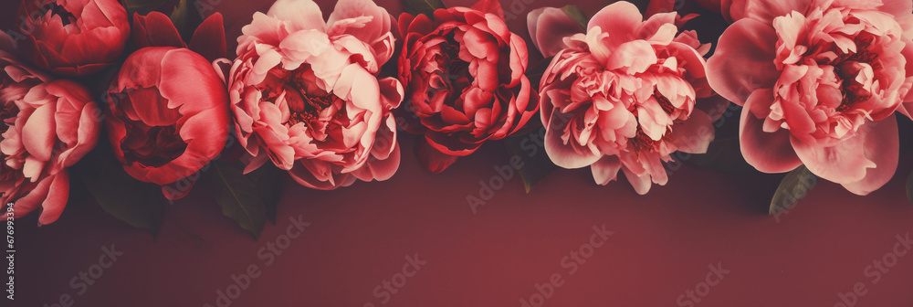 Beautiful red peony flowers