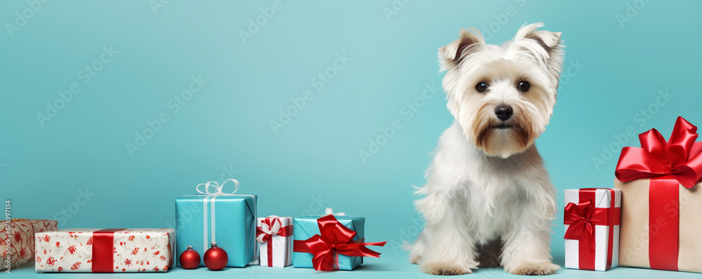 Dog with presents and gifts for Christmas