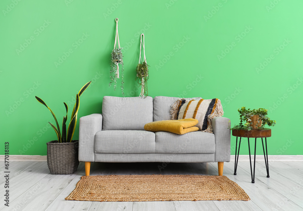 Interior of living room with folded plaid on sofa and houseplants