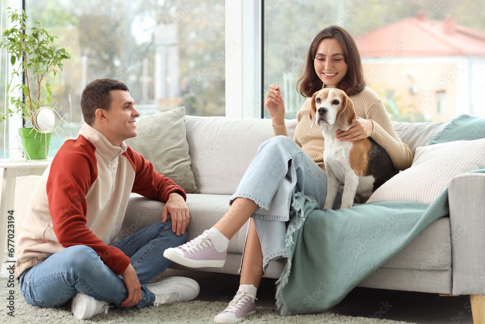 Young couple with cute Beagle dog at home