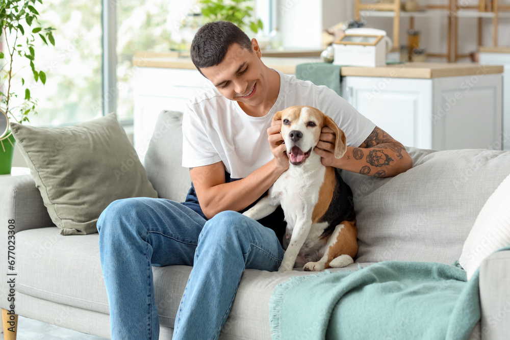 Young man with cute Beagle dog sitting on sofa at home