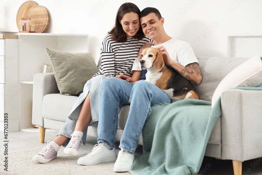 Young couple with cute Beagle dog sitting on sofa at home