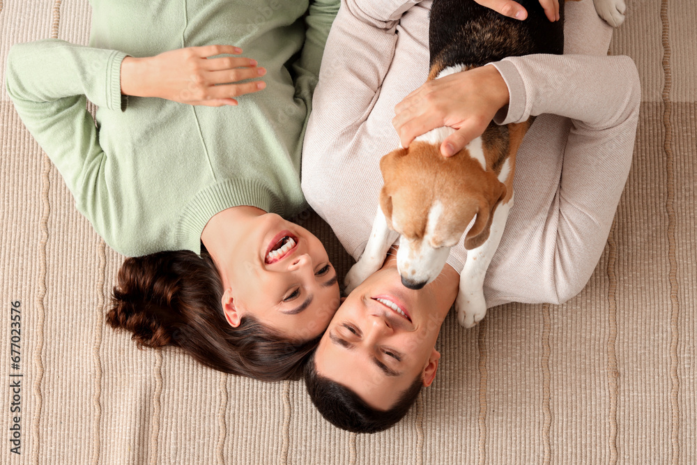 Young couple with cute Beagle dog lying on carpet at home, top view