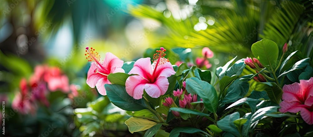 vibrant summer garden a tropical plant adorned with pink flowers and colorful leaves stands out adding a touch of beauty to the lush green background of natures spring and perfectly capturin