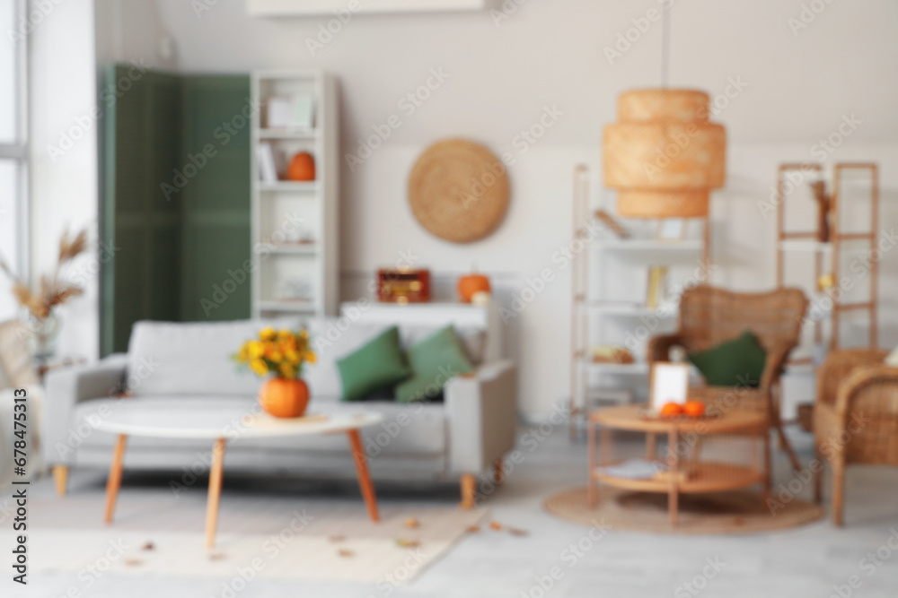 Blurred view of living room with pumpkins, sofa and armchairs