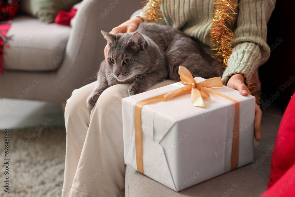 Woman with cute cat and Christmas gift at home, closeup