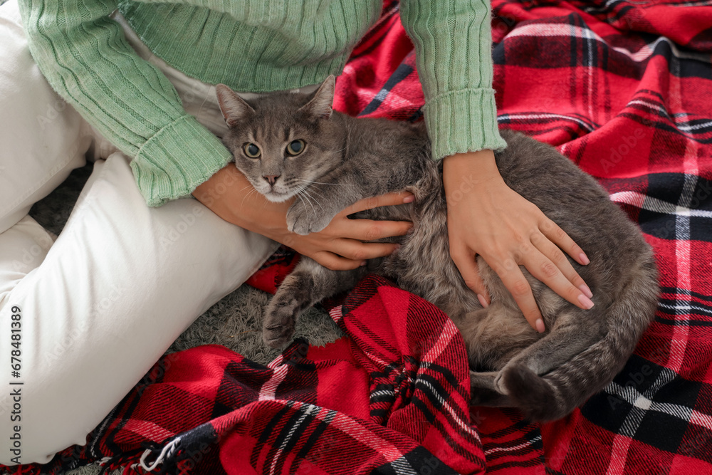 Woman with cute cat at home on Christmas eve, closeup