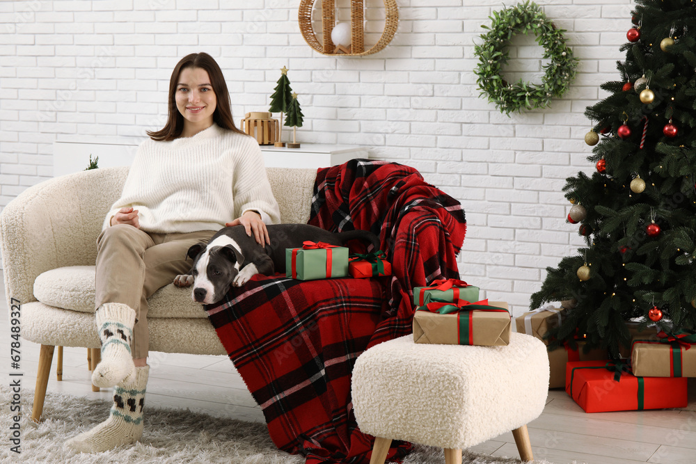 Beautiful young woman with cute Staffordshire Terrier puppy at home on Christmas eve