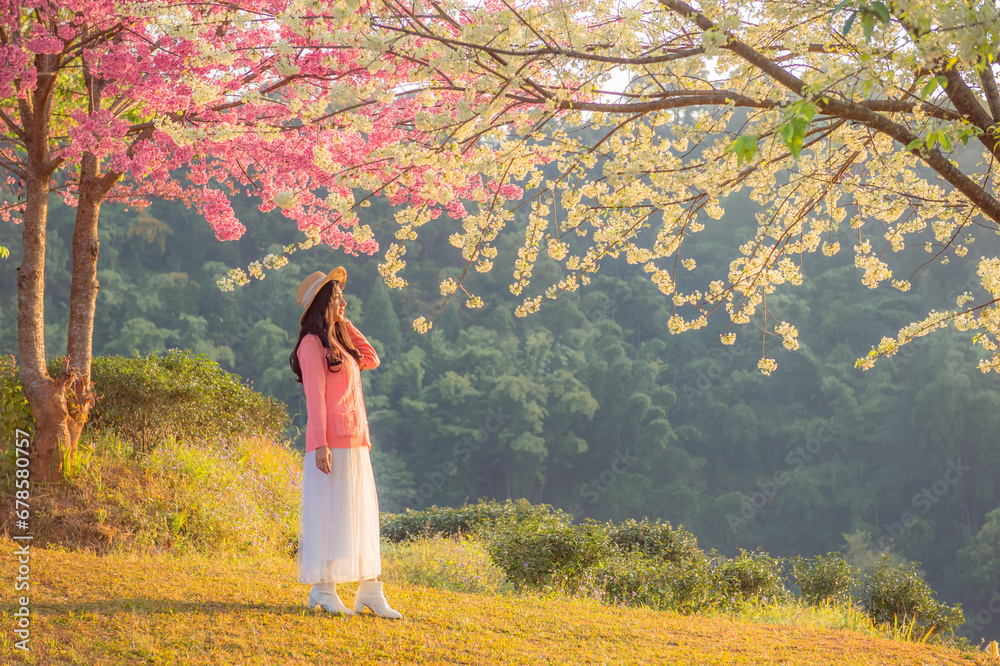 sakura flower and landscape