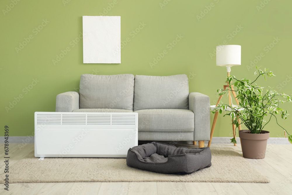 Interior of living room with sofa, radiator and pet bed