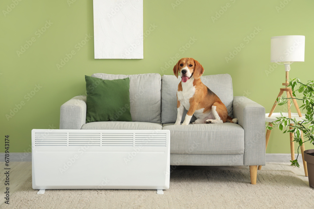 Cute Beagle dog on sofa near radiator at home