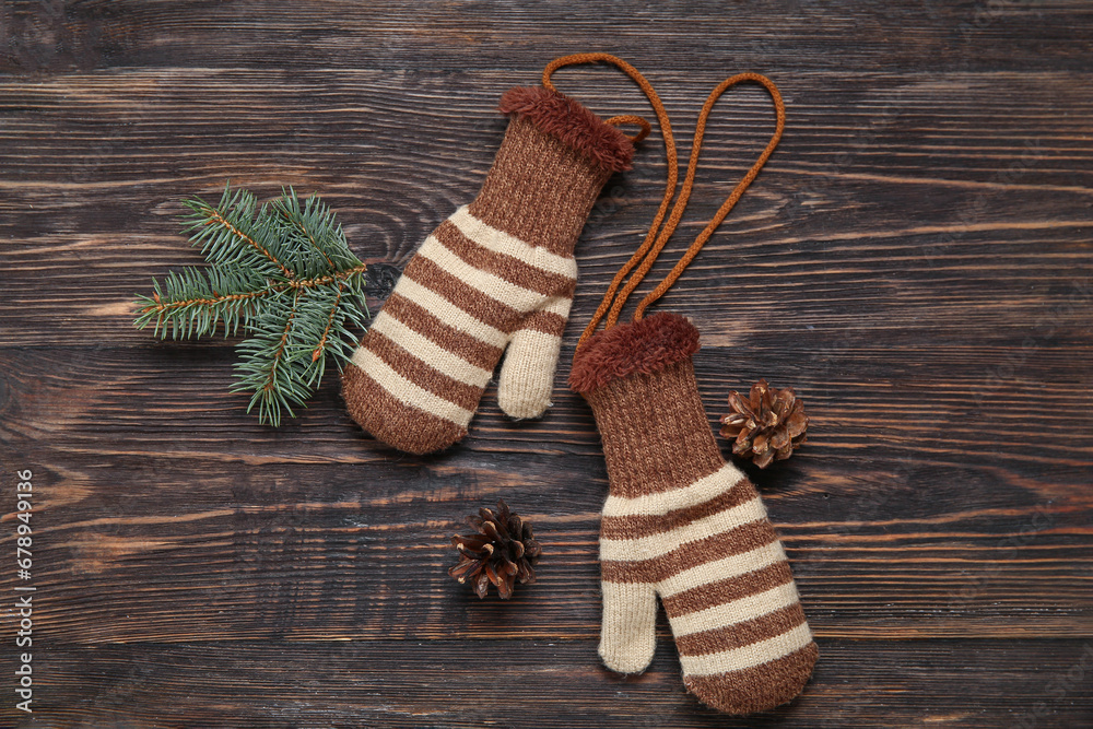 Warm mittens, cones and fir branch on wooden background