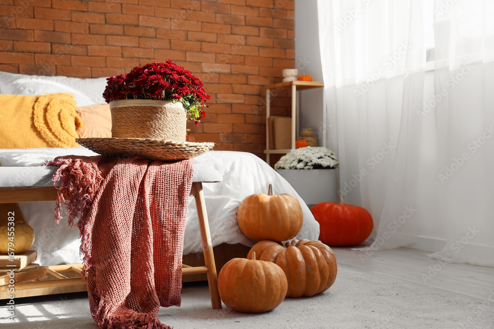 Chrysanthemum flowers on bench and pumpkins in bedroom