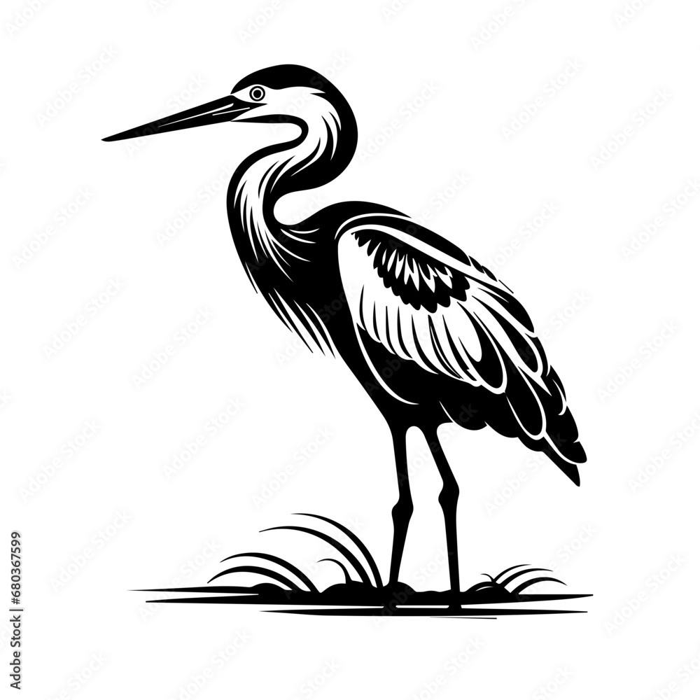 Heron Stork