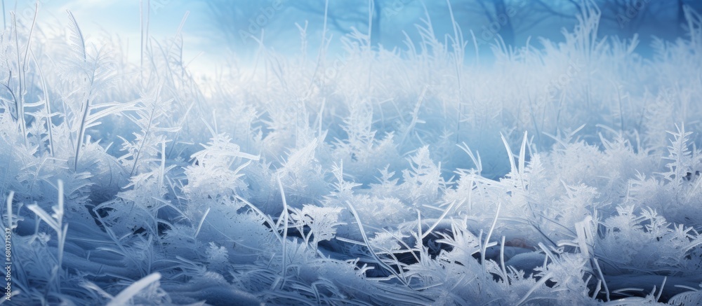 The winter landscape painted a mesmerizing backdrop of snow-covered grass, intricate patterns of frost-coated leaves, and sparkling ice crystals.