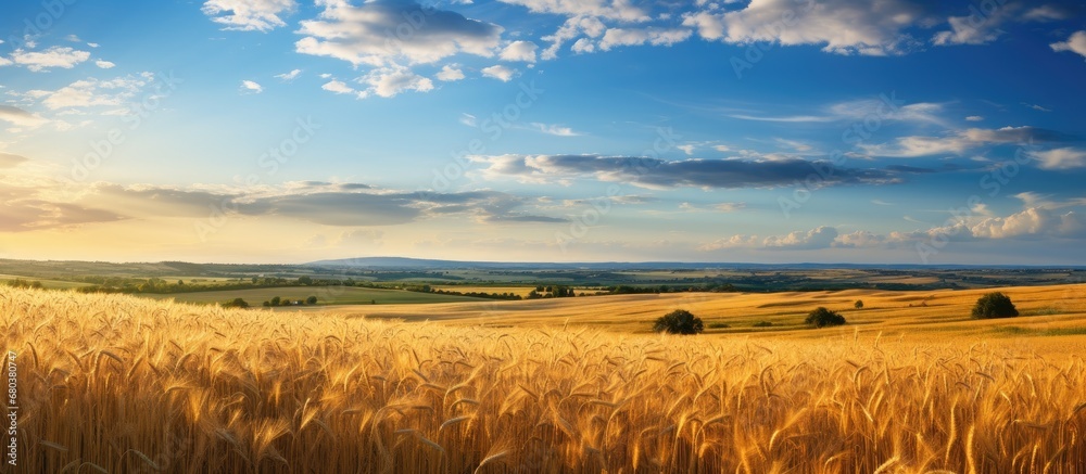 In the serene landscape, the sky painted a vibrant blue, while the lush green grass swayed gently in the summer breeze, framed by the white clouds drifting above, creating a picturesque background for