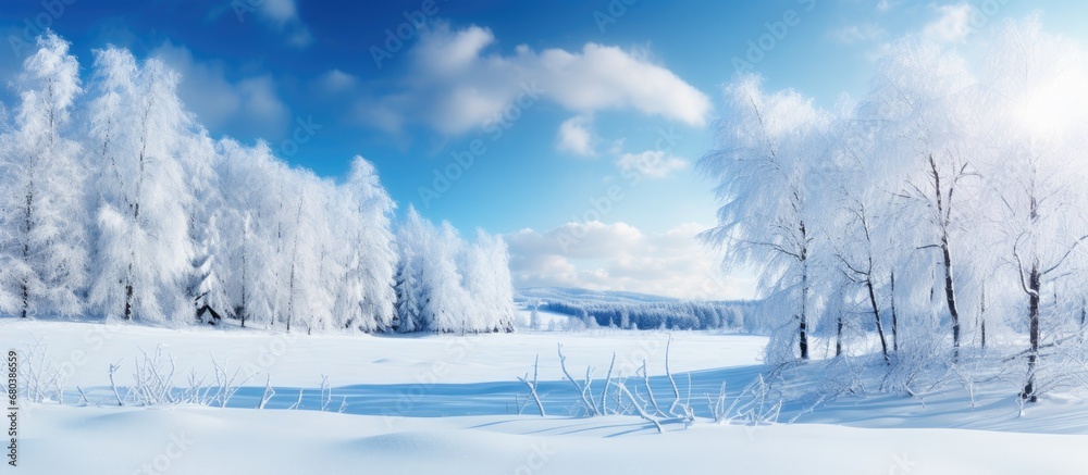 The background of the winter landscape showcased the beauty of nature, with the snow-covered trees and the white expanse blending harmoniously with the blue sky and the soft light of the sun, creating