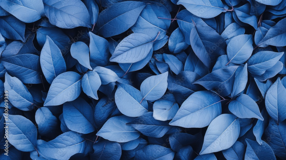 blue spring  leaves texture background 