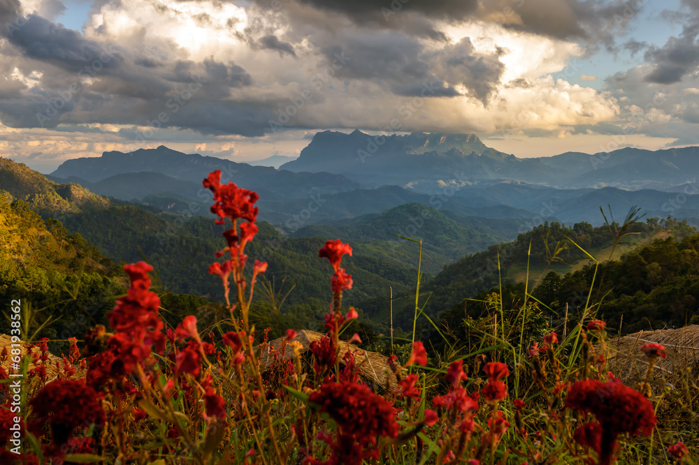 landscape and sky background