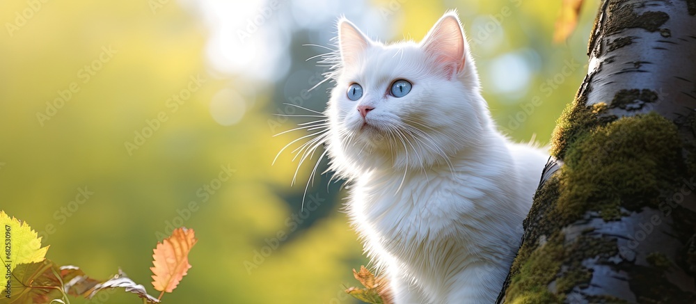 In the beautiful natural setting, a white cat with a cute and funny expression on its face posed for a portrait, its eyes captivating and beautiful, turning heads with its adorable and pretty features