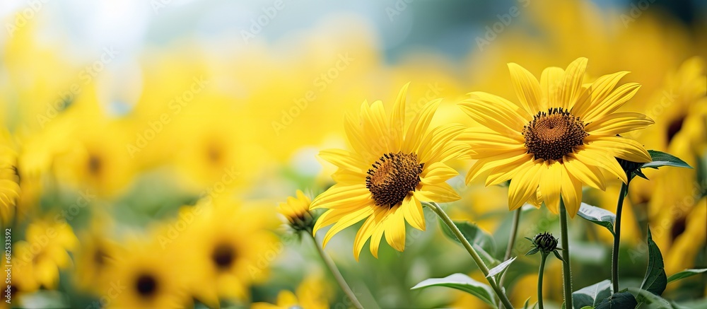 In the vibrant summer garden, amidst the lush green foliage, a tropical paradise of floral beauty blooms, with yellow sunflowers stealing the show, their velvety petals gleaming under the warm sun; a