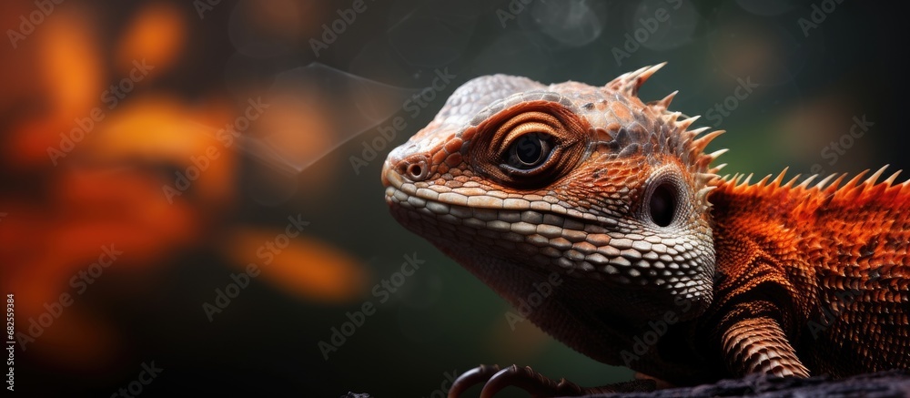 In the vastness of space, amidst the beauty of nature, a mesmerizing closeup reveals a brown lizard with intricate scales and sharp claws, captivating the viewer with its macro details.